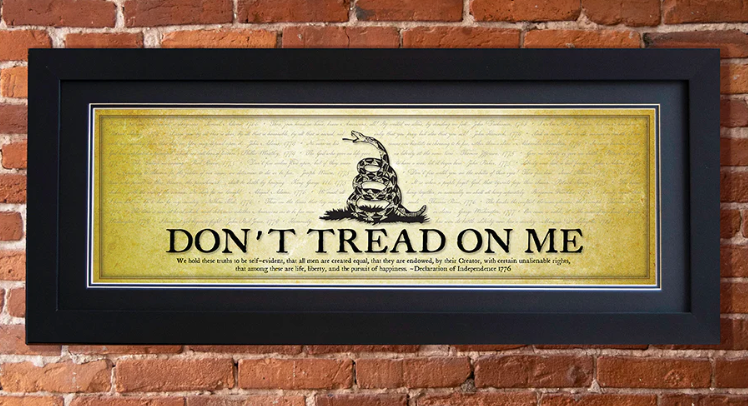 DONT TREAD ON ME FRAMED PRINT